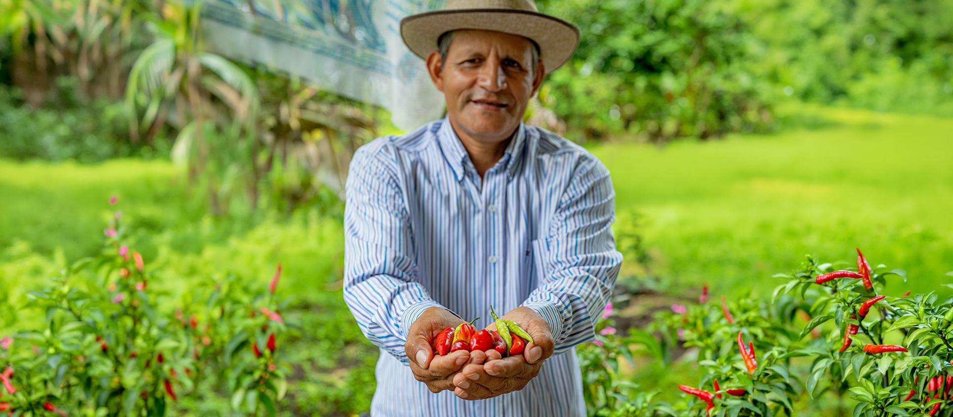 Orgullo de nuestra tierra